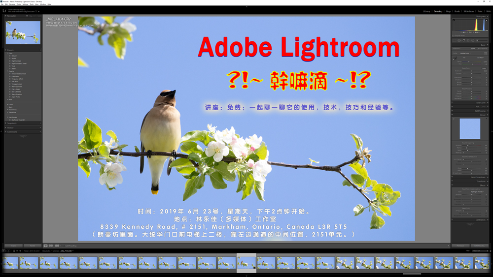 Adobe-Lightroom-S