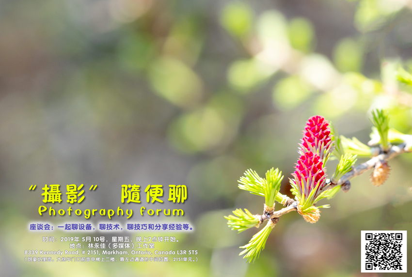 Photography Forum A